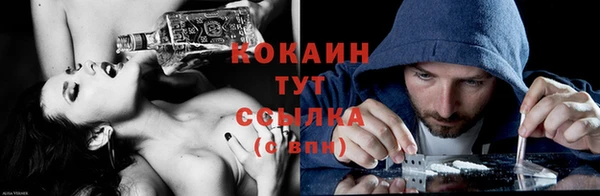 дживик Аркадак