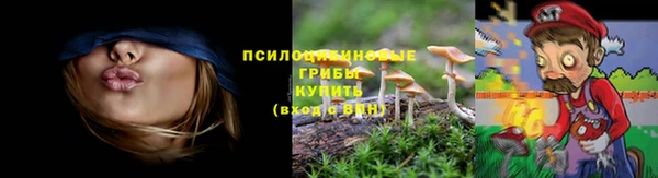 дживик Аркадак