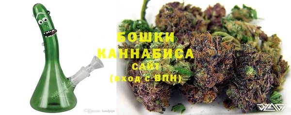 дживик Аркадак
