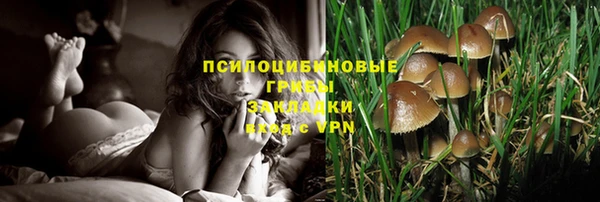 дживик Аркадак
